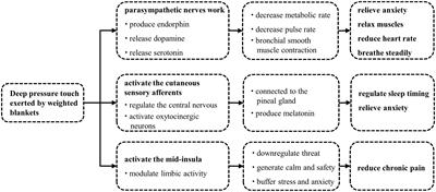 The effect of weighted blankets on sleep and related disorders: a brief review